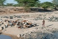 Shepherd leading a flock of goats in North Kenya