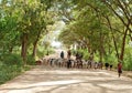 Shepherd leading a flock of goats in North Kenya