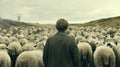 Shepherd Leading Flock of Sheep in Countryside