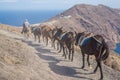 Shepherd leading his donkeys up the hill over a background of a sea