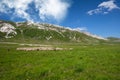 shepherd leading his flock of sheep to campo imperatore abruzzo