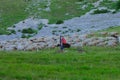 shepherd leading his sheep to pasture in Abruzzo