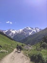 The shepherd leads the horses along the trail, against the background of a beautiful mountain landscape