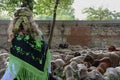 Shepherd in Madrid capital walking herd of sheep Royalty Free Stock Photo