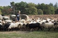 Shepherd near the dolmens of havelte, Holland Royalty Free Stock Photo