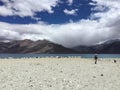 The shepherd , pangong lake , Ladakh ,incredible India