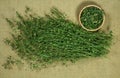 Shepherd purse. Dry herb for use in alternative medicine, phytotherapy