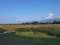 shepherd Scenery of Weihe River embankment and dam in rural rural areas of Shaanxi