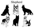 Shepherd set. Collection of pedigree dogs. Black and white illustration of a shepherd dog. Vector drawing of a pet