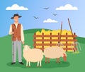 Shepherd and sheep on the green landscape. Hay and pitchforks. Clear skies with birds. Flat image Royalty Free Stock Photo