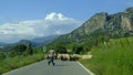 Shepherd and sheep in the mountains of Grazalema, Spain Royalty Free Stock Photo