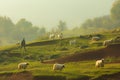 Shepherd with sheep. Summer rural scene.