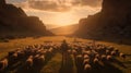 shepherd tending a flock of sheep on the green meadow of his farm Royalty Free Stock Photo