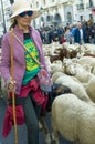 A shepherdess during the sheep transhumance festival passing through Madrid Spain