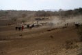 Shepherds of cows in Tanzania