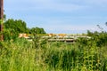 Shepherds are drive a herd of bloodstock cows over the bridge Royalty Free Stock Photo