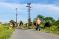 Shepherds are drive a herd of bloodstock cows, walking on the road Royalty Free Stock Photo