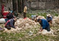 Shepherds in the Georgian village, editorial