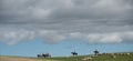 Shepherds and sheep under the clouds