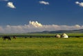Shepherds tent Yurt with horses, Kyrgyzstan, Song Kol lake mount