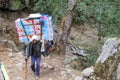 Sherpa porter carry basket in Nepal trekking path