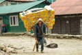 Sherpa porter carrying a heavy load in Nepal