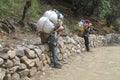 Sherpa porter carry basket in Nepal trekking path