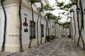 Sherry grapes at bodega in Jerez de la Frontera in Andalusia, Spain Royalty Free Stock Photo