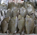 Sherry fish in a market stall for sell