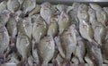 Sherry fish in a market stall for sell