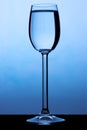 Sherry glass under a blue ligh Royalty Free Stock Photo