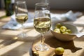 Sherry wine tasting, dry fino  jerez fortified wine made from palamino white grapes, El Puerto de Santa Maria, Andalusia, Spain Royalty Free Stock Photo