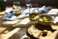 Sherry wine tasting, dry fino, manzanilla or palomino jerez fortified wine in glasses, Jerez de la Frontera, Andalusia, Spain Royalty Free Stock Photo