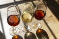 Sherry wine tasting, selection of different jerez fortified wines made from palamino, pedro ximenez and muscat white grapes, El Royalty Free Stock Photo