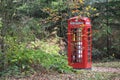 Sherwood Forest, UK - Traditional British Red Public Telephone Box in a Nottinghamshire forest Royalty Free Stock Photo