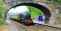 The Sherwood Forester steam train.