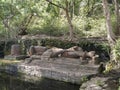 Shesh Shaiya is a 65 ft tall statue of Lord Vishnu, Bandhavgarh Caves, Bandhavgarh Royalty Free Stock Photo