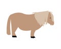 Shetland pony horse simple illustrations Royalty Free Stock Photo