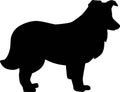 Shetland Sheepdog silhouette black