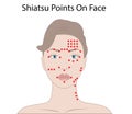 Facial Massage Technique and Shiatsu points, acupuncture Vector Illustration