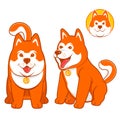 Shiba Inu is one of Japan\'s local dog breeds