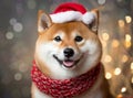Shiba dog wearing a Santa hat and scarf.