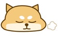 Cute Shiba Inu sighing with closed eyes