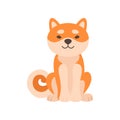Shiba Inu Dog, Adorable Japan Pet Animal Cartoon Character Vector Illustration