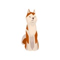Shiba Inu Dog, Cute Sitting Brown Beige Fluffy Pet Animal, Front View Vector Illustration Royalty Free Stock Photo