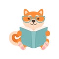 Shiba Inu Dog in Glasses Reading Book, Cute Funny Japan Pet Animal Cartoon Character Vector Illustration Royalty Free Stock Photo