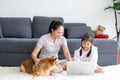 Shiba inu dog interest in little girl has fun with laptop and also sit near her mother at living room during stay at home to Royalty Free Stock Photo