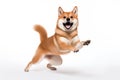 Shiba Inu dog its paws lifted in delight and a joyful expression on its face