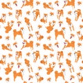 Shiba inu seamless pattern background