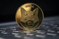Shiba Inu SHIB Crypto Coin Placed on the Keyboard Royalty Free Stock Photo